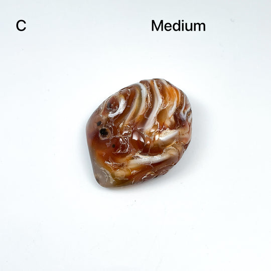 Enhydro Agate Tumble-Rocks and Gems Canada