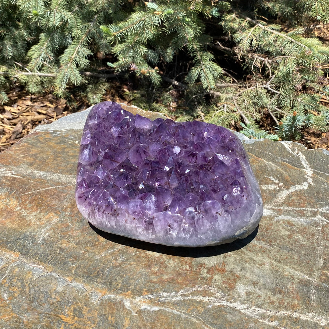 Extra Large Polished Amethyst Druze Cluster-Rocks and Gems Canada
