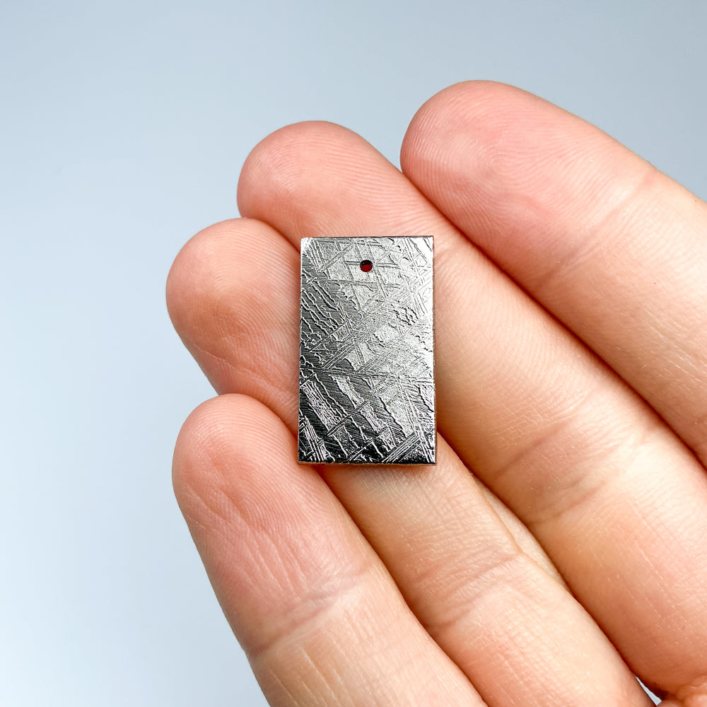 Muonionalusta Meteorite Slice
