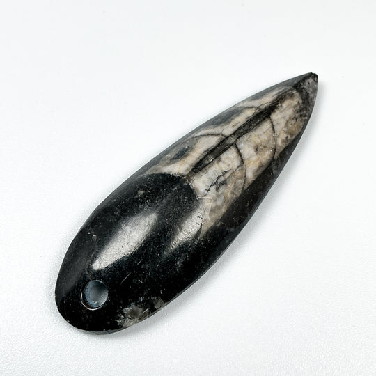Polished Orthoceras Fossil Drilled Pendant