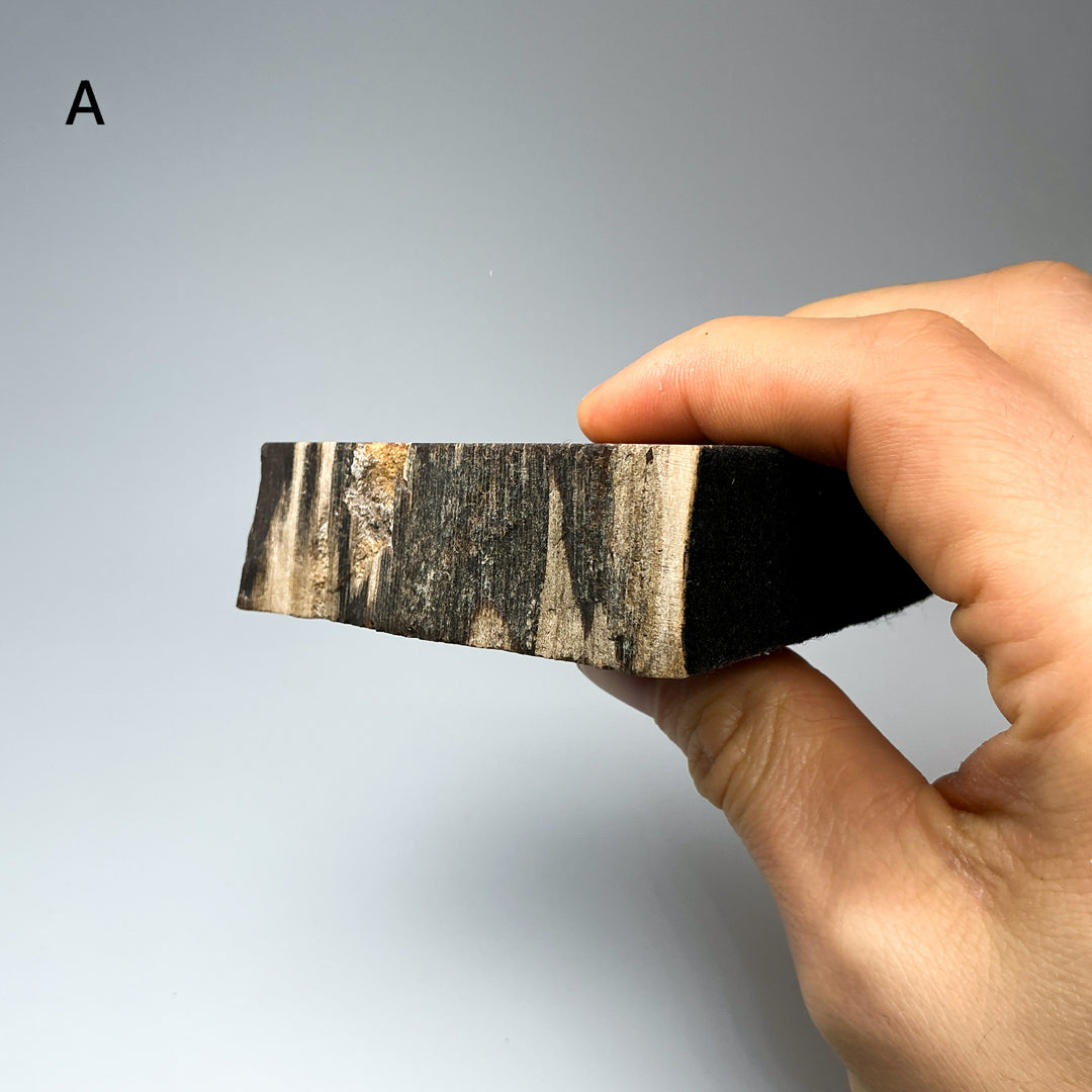 Petrified Wood Stand Up