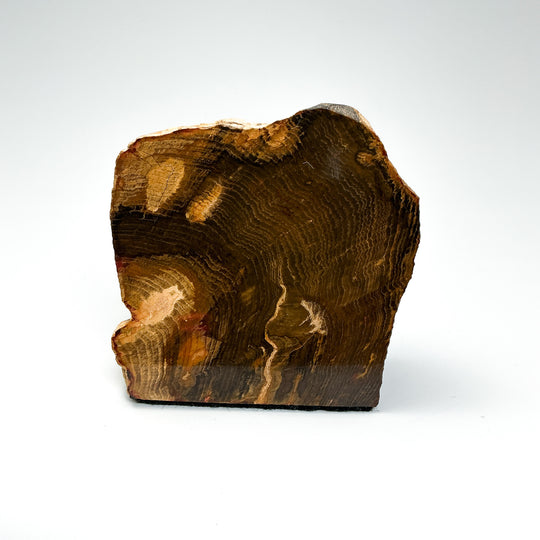 Petrified Wood Stand Up - Rocks and Gems Canada