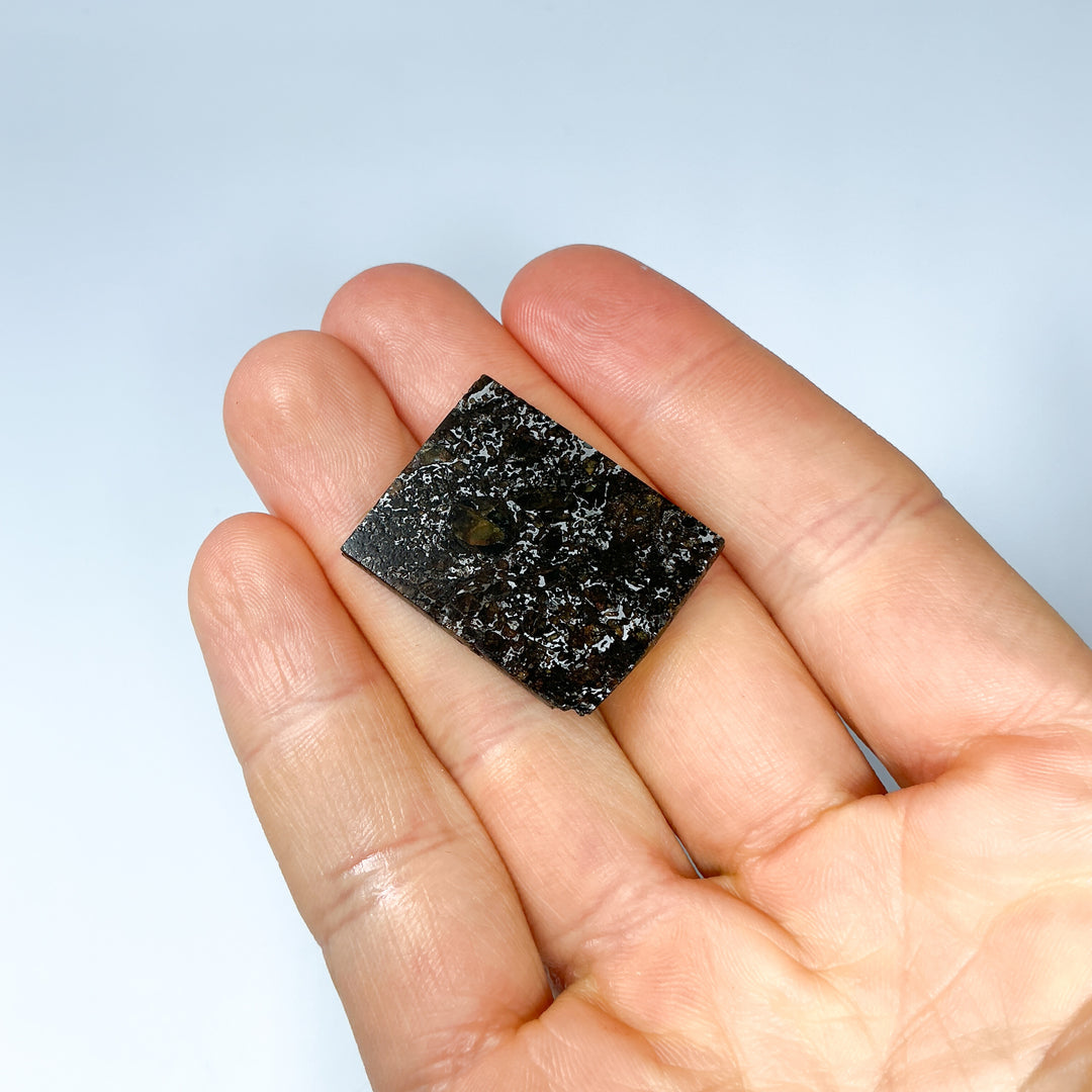 Admire Meteorite Slice - Rocks and Gems Canada