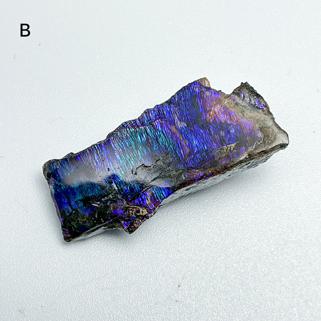 Ammolite Specimen