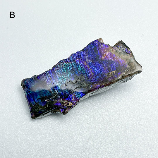 Ammolite Specimen