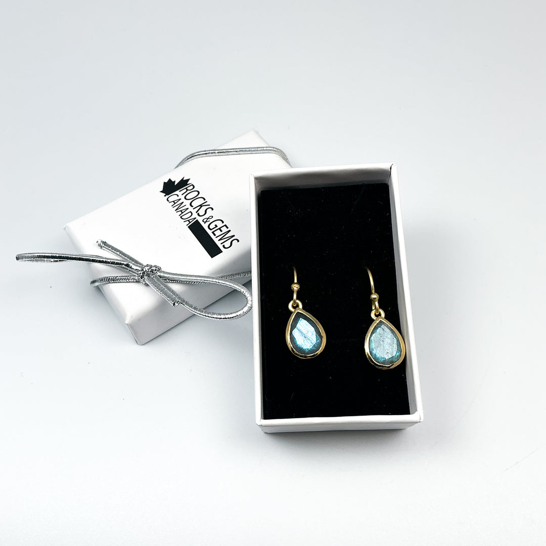 Labradorite Dangle Earrings