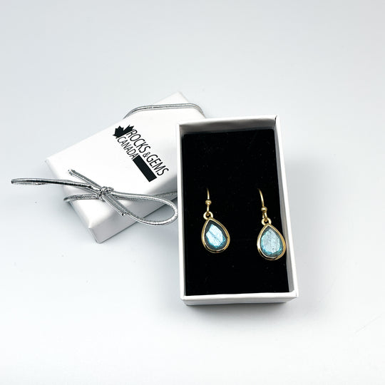Labradorite Dangle Earrings