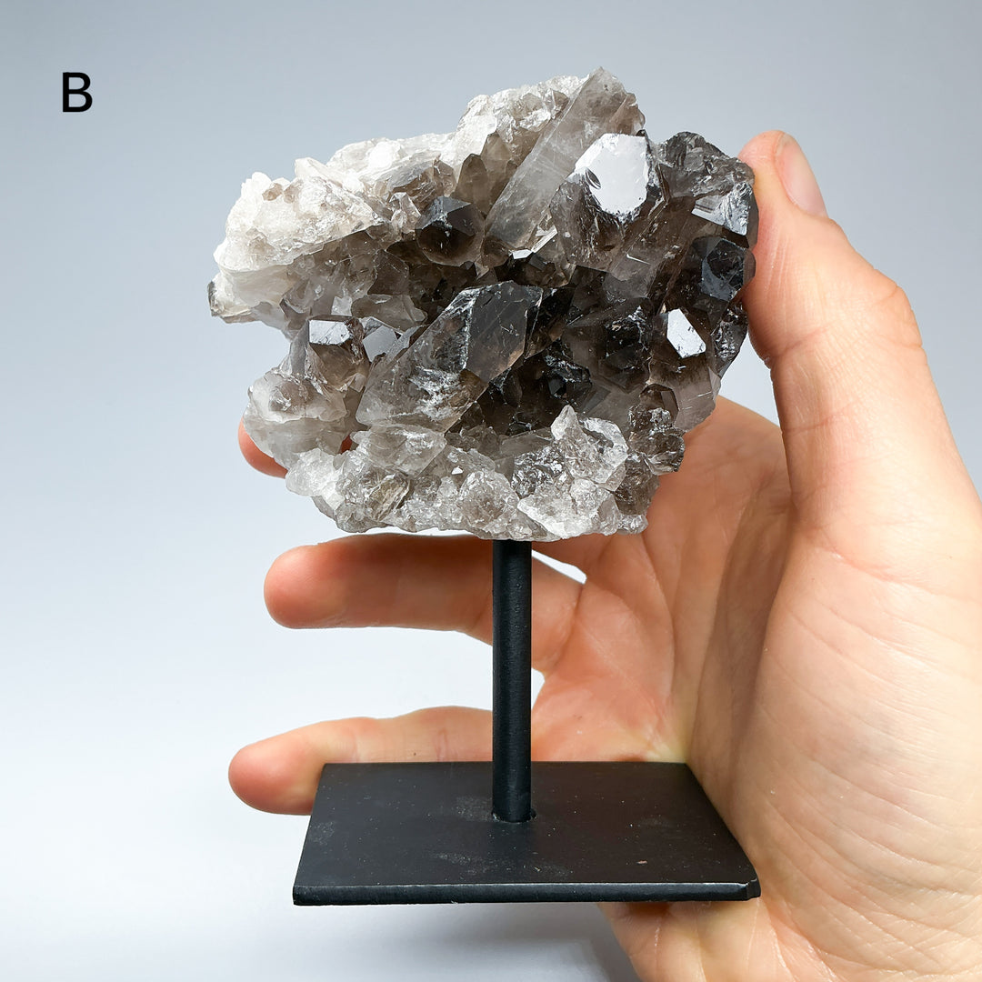 Smoky Quartz Cluster on Display Stand
