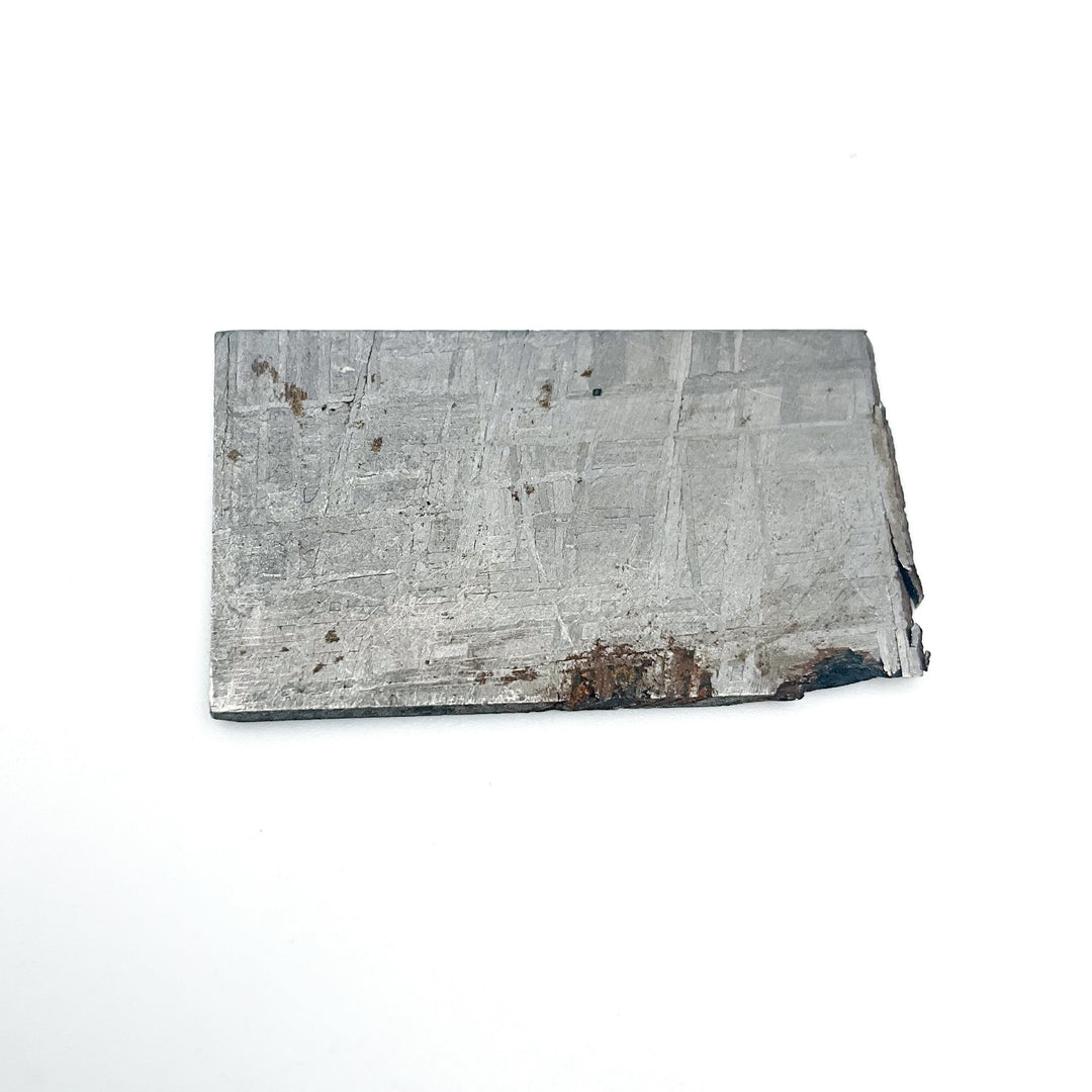 Muonionalusta Meteorite Slice