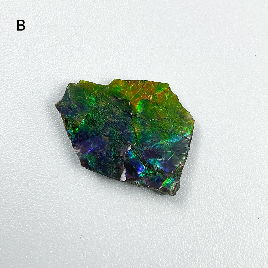 Ammolite Specimen