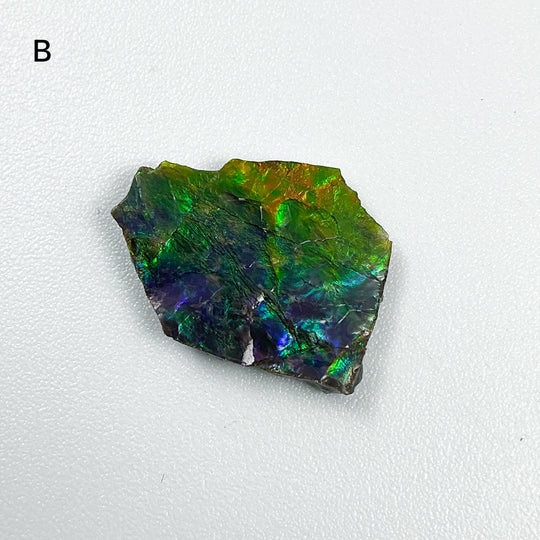 Ammolite Specimen