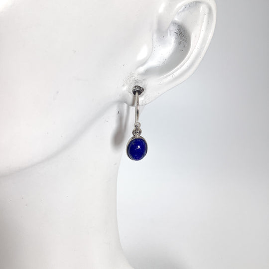 Lapis Lazuli Dangle Earrings - Rocks and Gems Canada