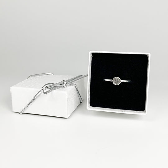 Muonionalusta Meteorite Ring - Rocks and Gems Canada