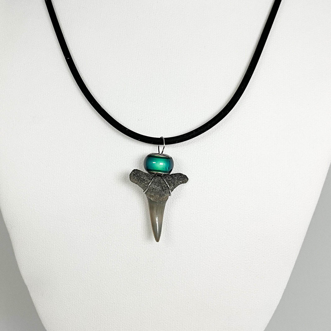 Fossilized Shark Tooth Necklace-Rocks and Gems Canada