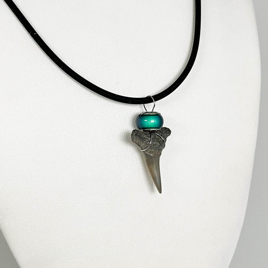 Fossilized Shark Tooth Necklace-Rocks and Gems Canada