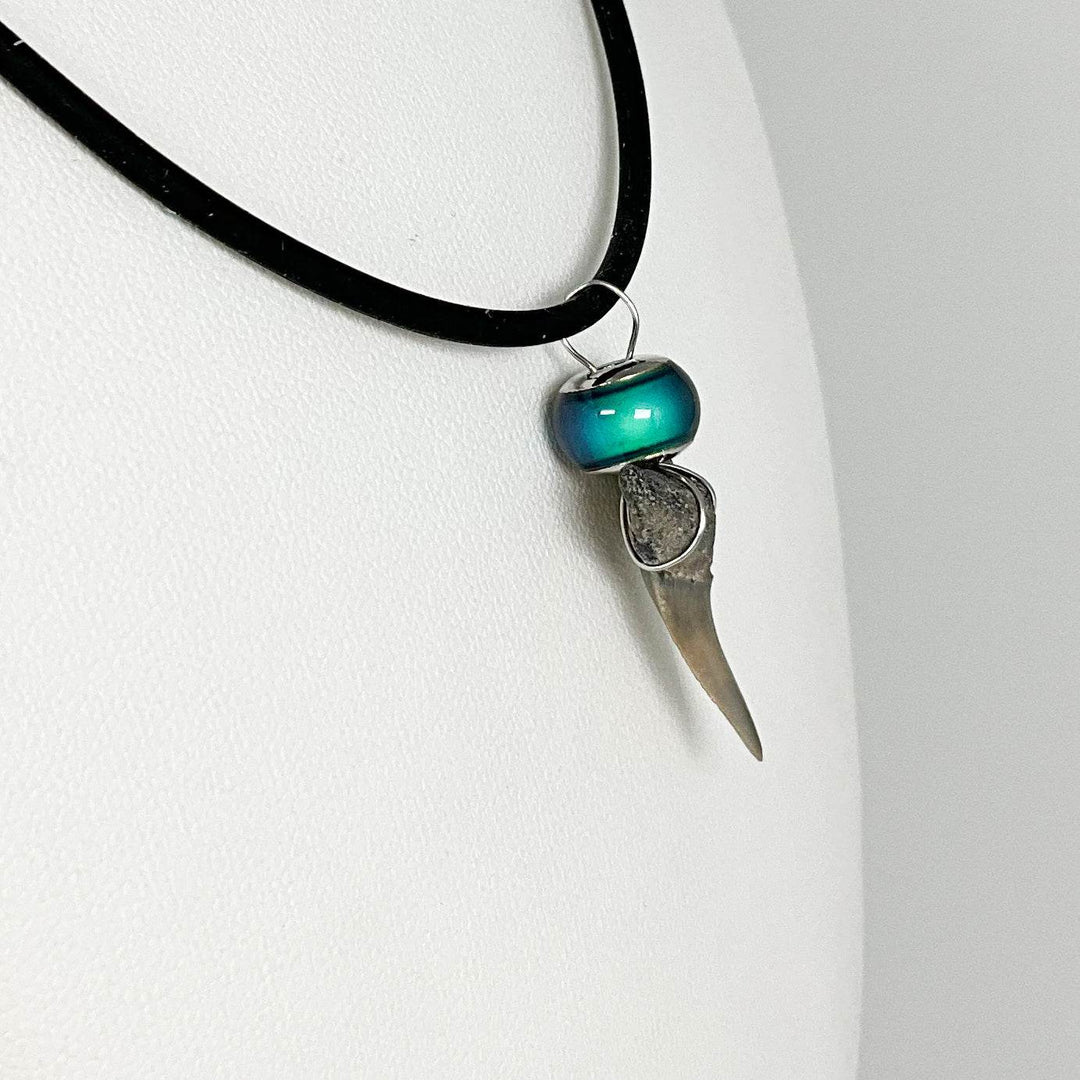Fossilized Shark Tooth Necklace-Rocks and Gems Canada