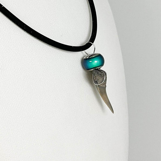 Fossilized Shark Tooth Necklace-Rocks and Gems Canada