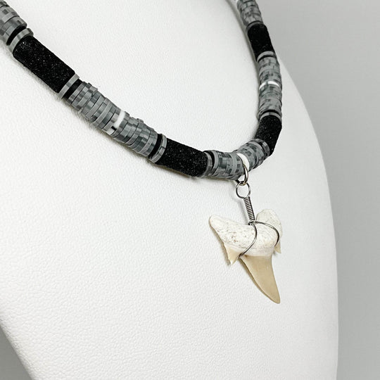 Fossilized Shark Tooth Necklace-Rocks and Gems Canada