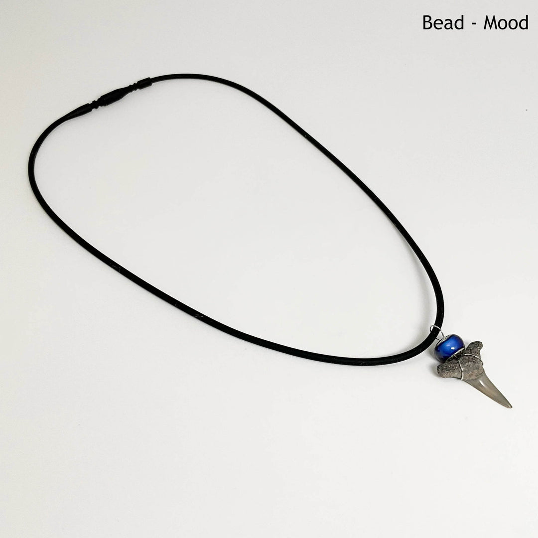 Fossilized Shark Tooth Necklace-Rocks and Gems Canada