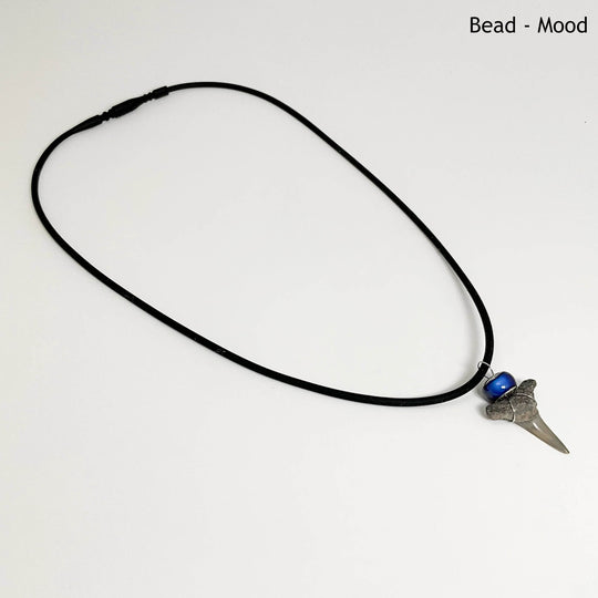 Fossilized Shark Tooth Necklace-Rocks and Gems Canada