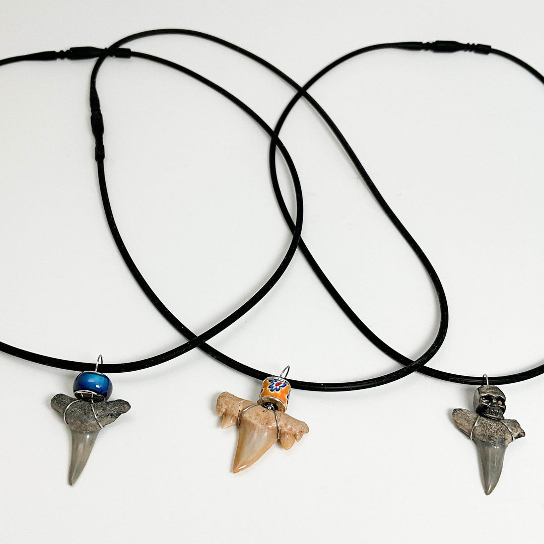 Fossilized Shark Tooth Necklace-Rocks and Gems Canada