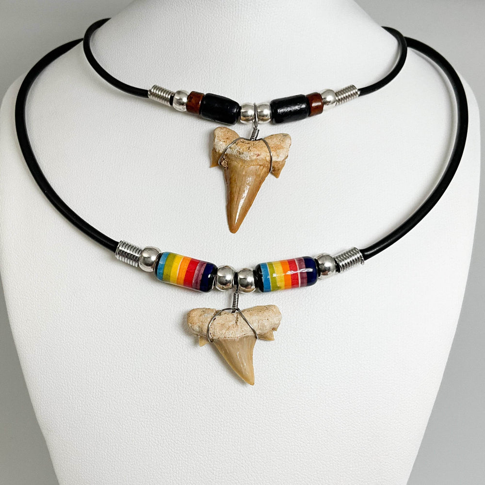 Fossilized Shark Tooth Necklace-Rocks and Gems Canada