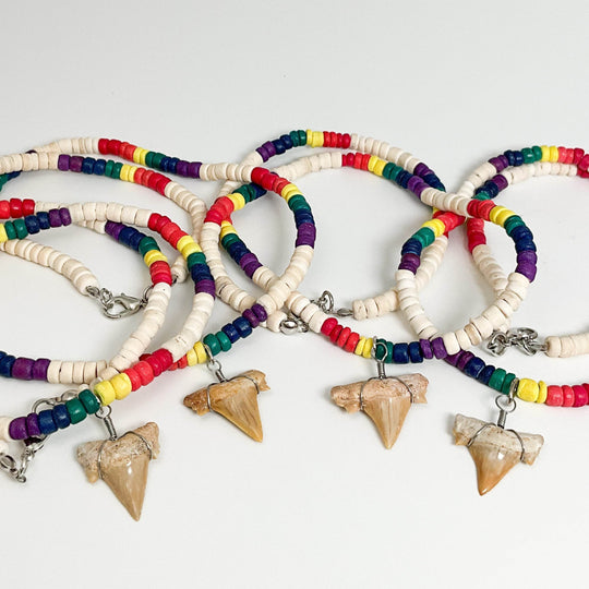 Fossilized Shark Tooth Necklace-Rocks and Gems Canada