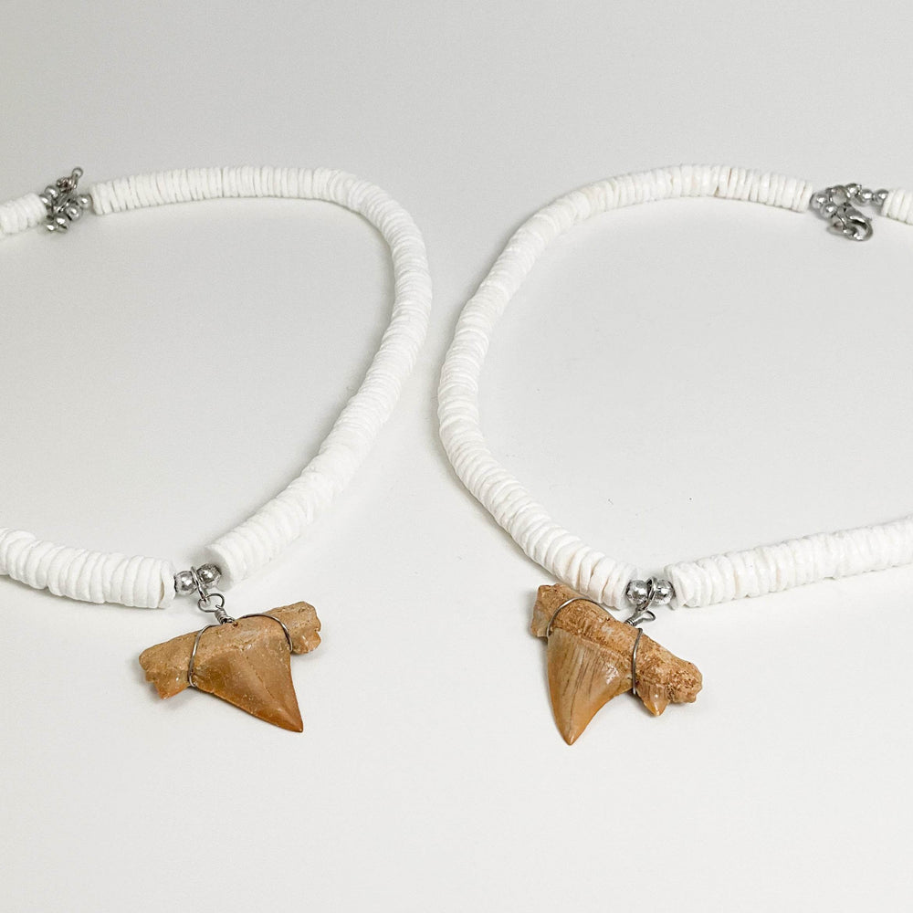 Fossilized Shark Tooth Necklace-Rocks and Gems Canada