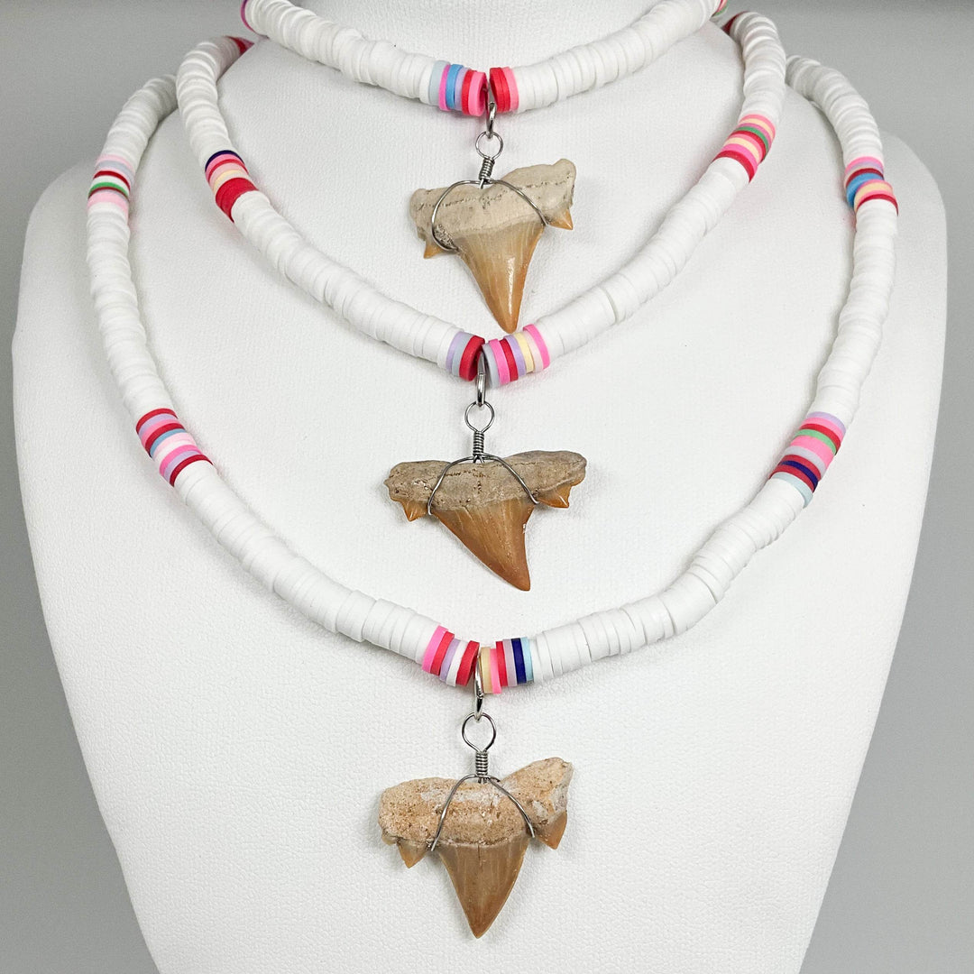 Fossilized Shark Tooth Necklace-Rocks and Gems Canada