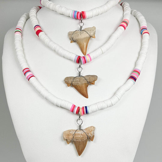 Fossilized Shark Tooth Necklace-Rocks and Gems Canada