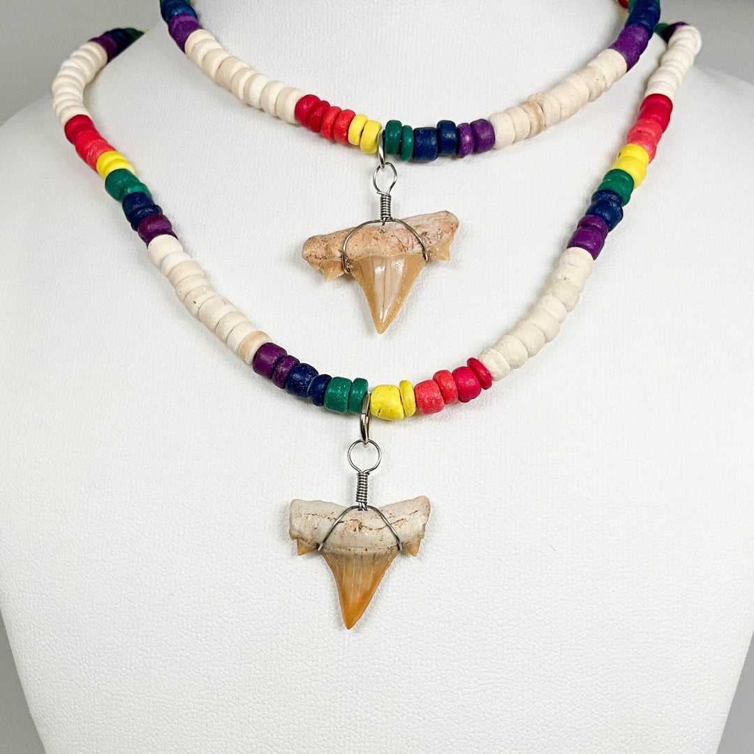 Fossilized Shark Tooth Necklace-Rocks and Gems Canada