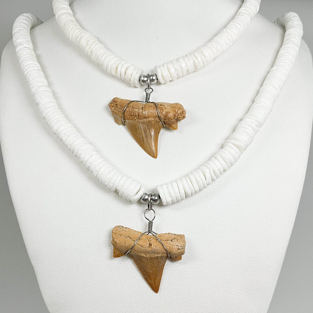 Fossilized Shark Tooth Necklace-Rocks and Gems Canada