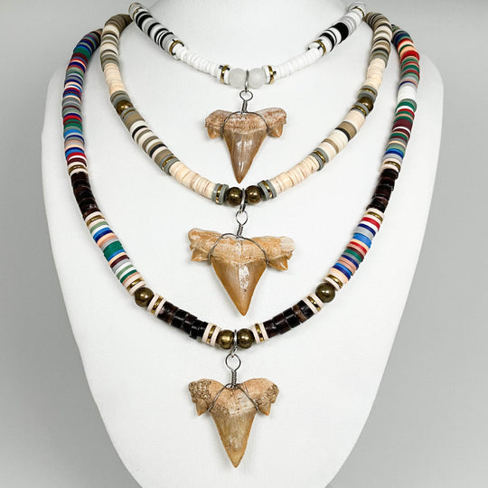 Fossilized Shark Tooth Necklace-Rocks and Gems Canada