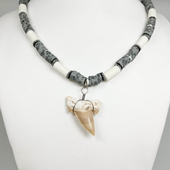 Fossilized Shark Tooth Necklace-Rocks and Gems Canada