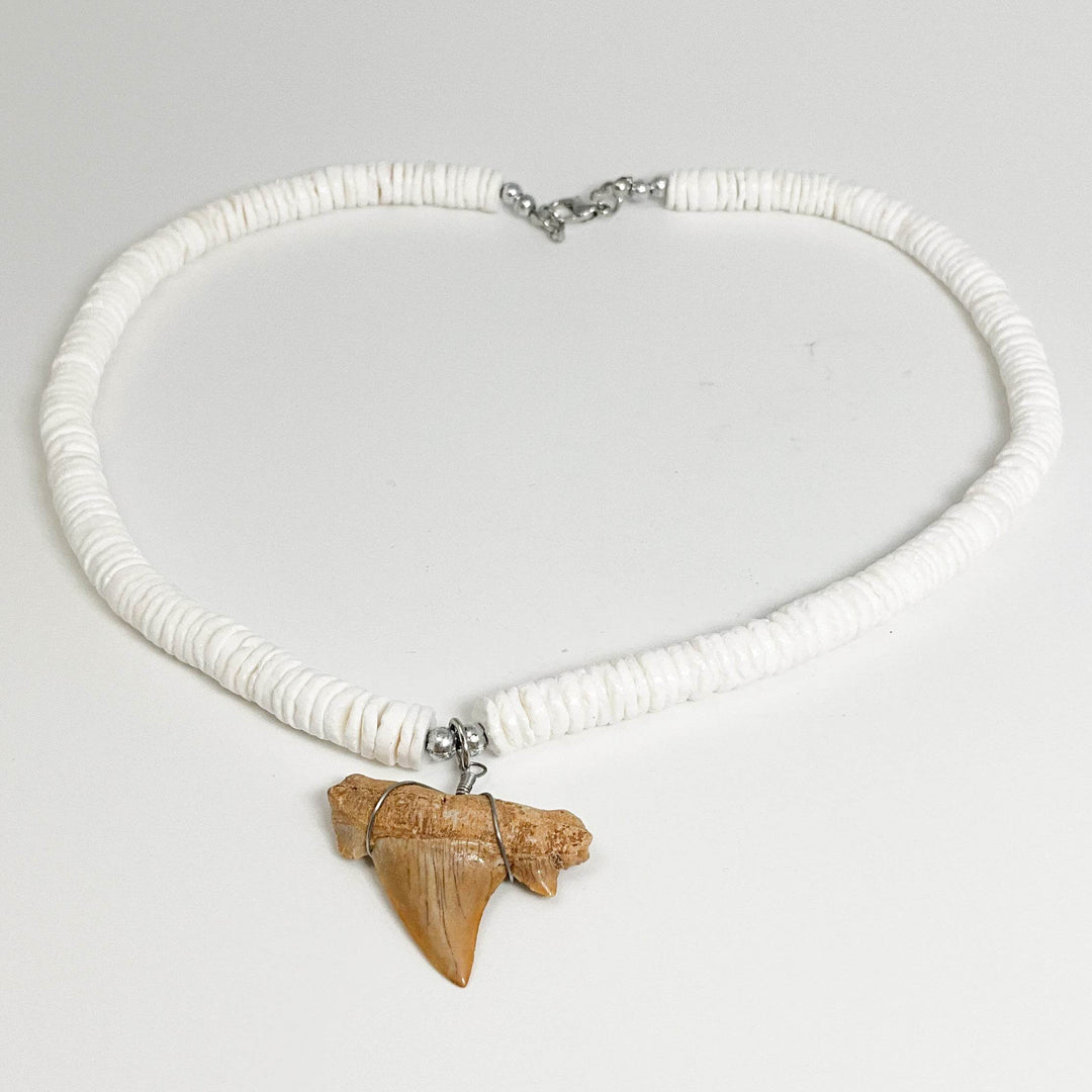 Fossilized Shark Tooth Necklace-Rocks and Gems Canada