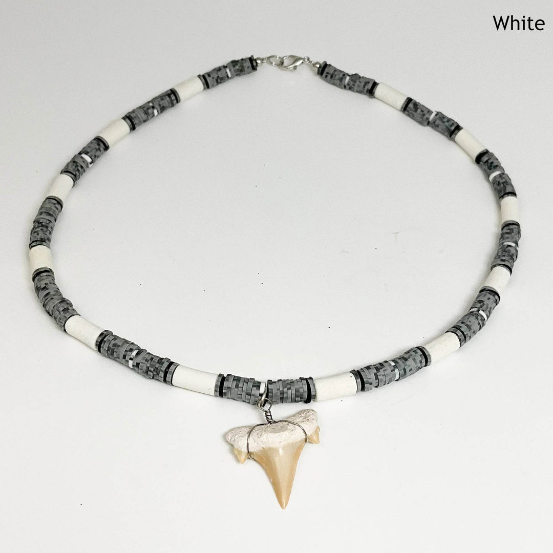 Fossilized Shark Tooth Necklace-Rocks and Gems Canada