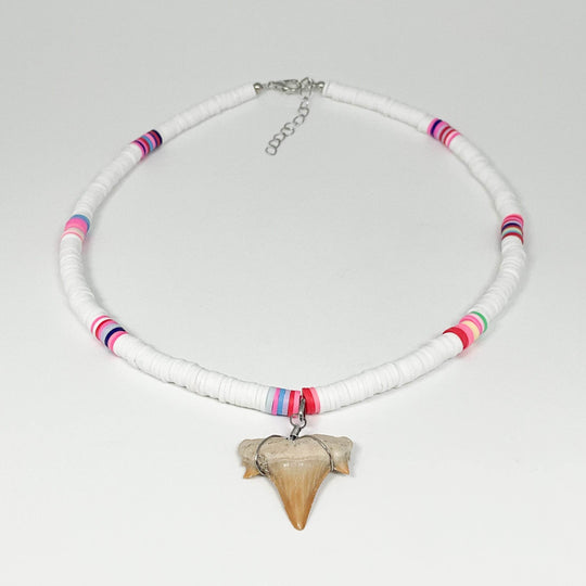 Fossilized Shark Tooth Necklace-Rocks and Gems Canada