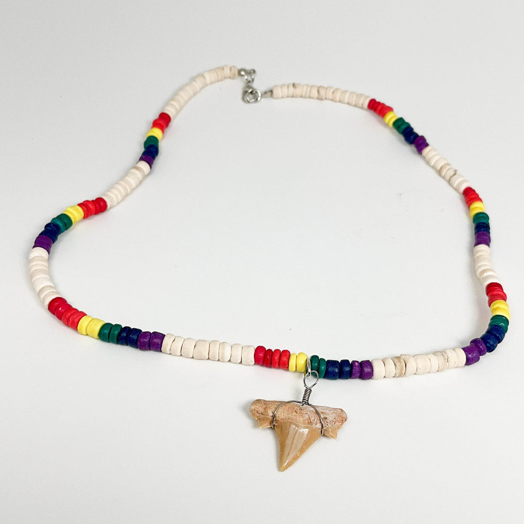 Fossilized Shark Tooth Necklace-Rocks and Gems Canada