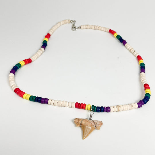 Fossilized Shark Tooth Necklace-Rocks and Gems Canada