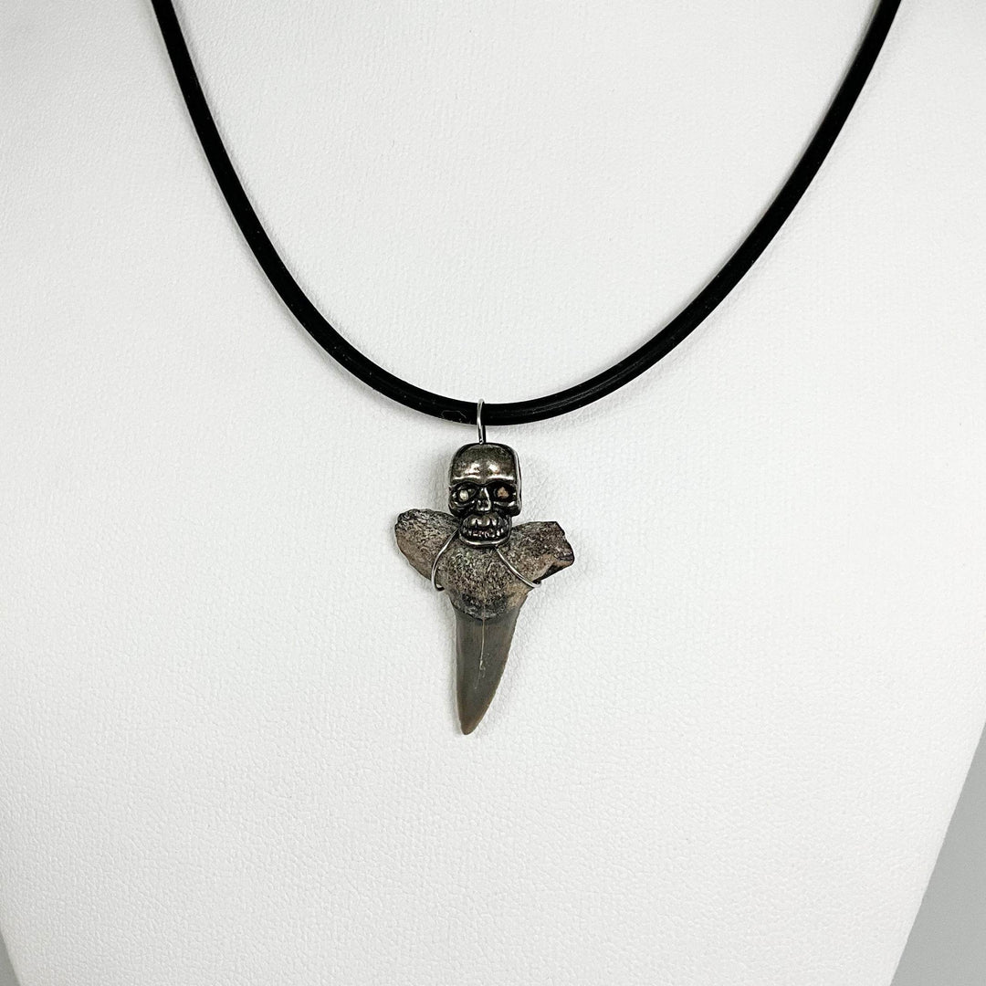 Fossilized Shark Tooth Necklace-Rocks and Gems Canada