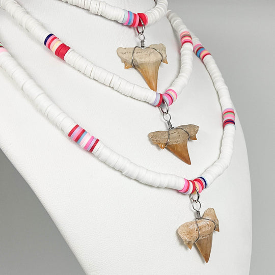 Fossilized Shark Tooth Necklace-Rocks and Gems Canada