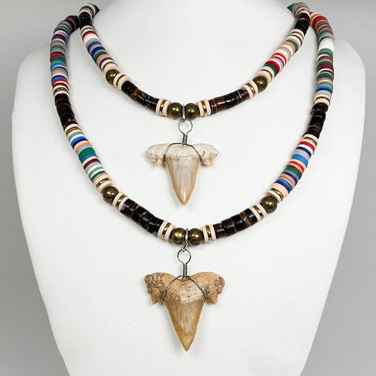 Fossilized Shark Tooth Necklace-Rocks and Gems Canada