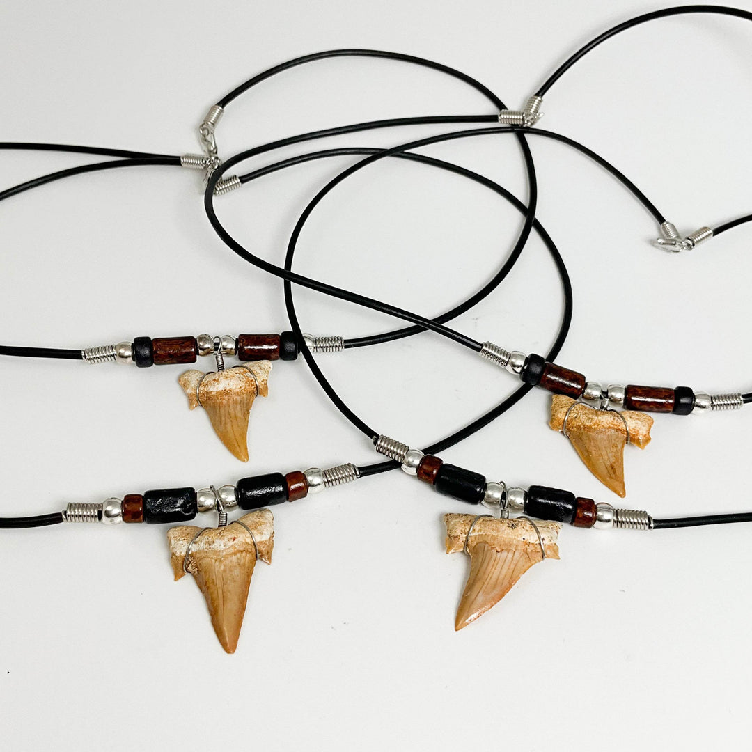 Fossilized Shark Tooth Necklace-Rocks and Gems Canada
