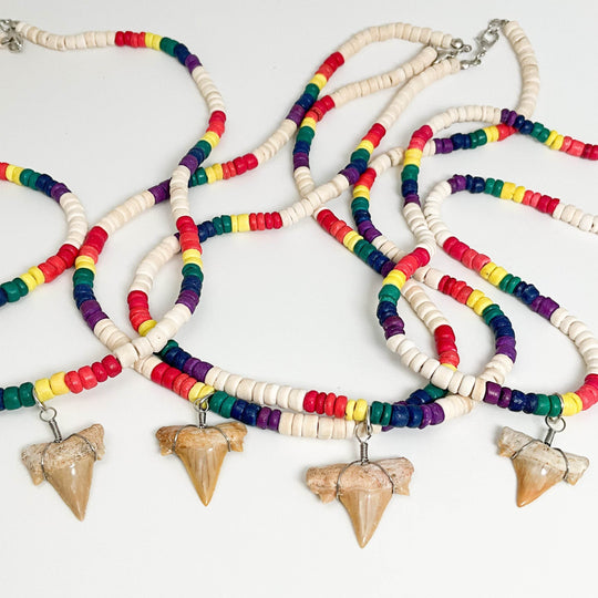 Fossilized Shark Tooth Necklace-Rocks and Gems Canada