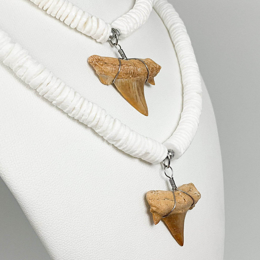Fossilized Shark Tooth Necklace-Rocks and Gems Canada