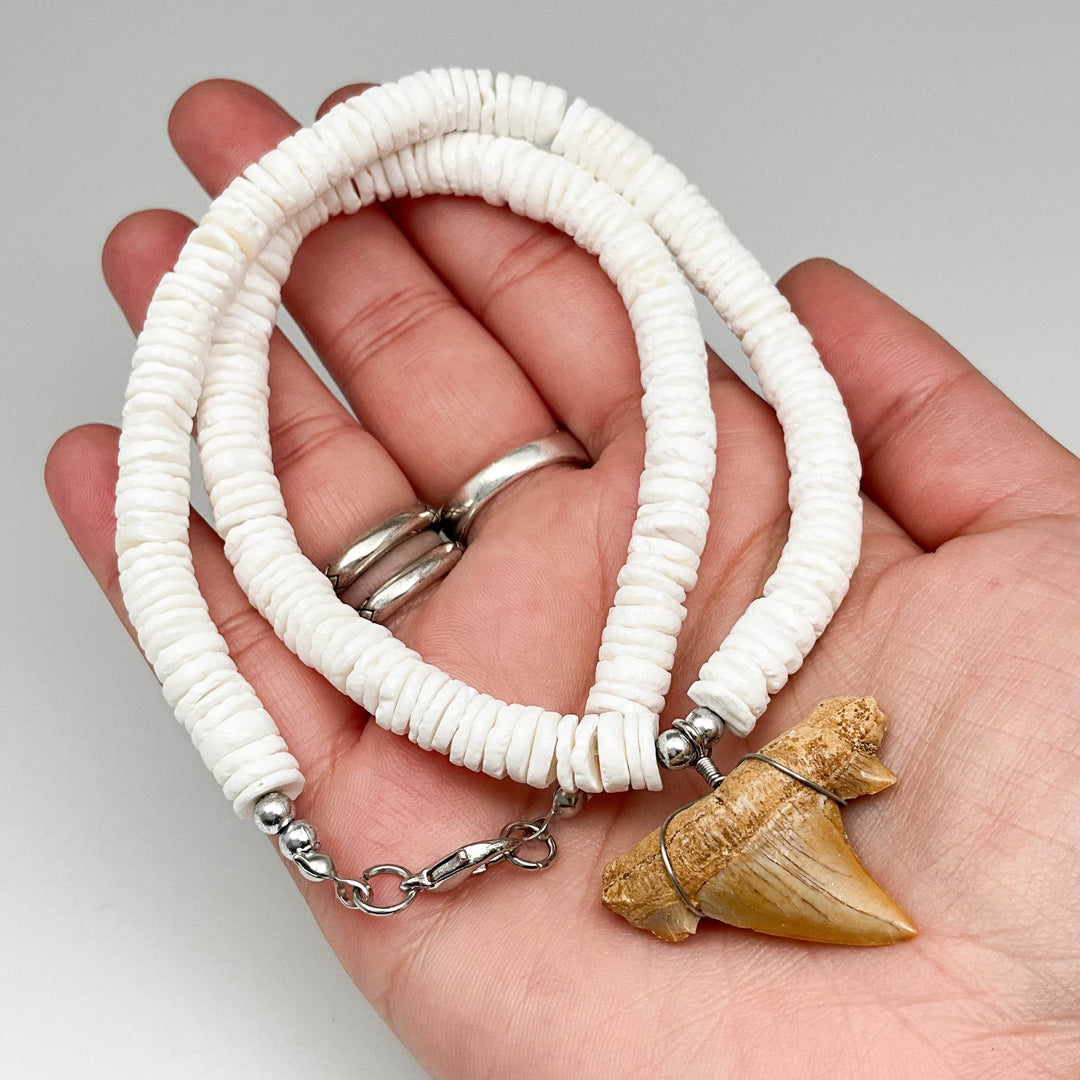 Fossilized Shark Tooth Necklace-Rocks and Gems Canada