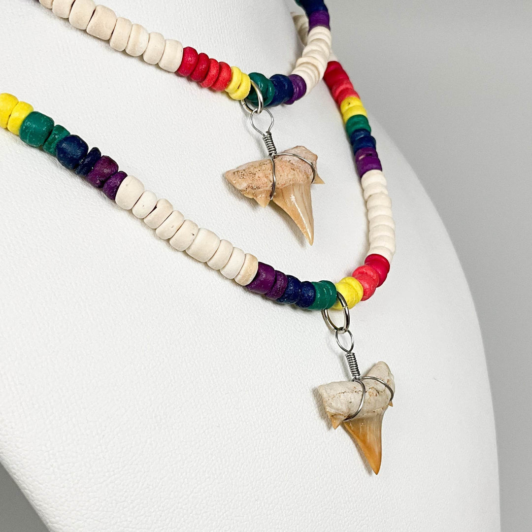 Fossilized Shark Tooth Necklace-Rocks and Gems Canada