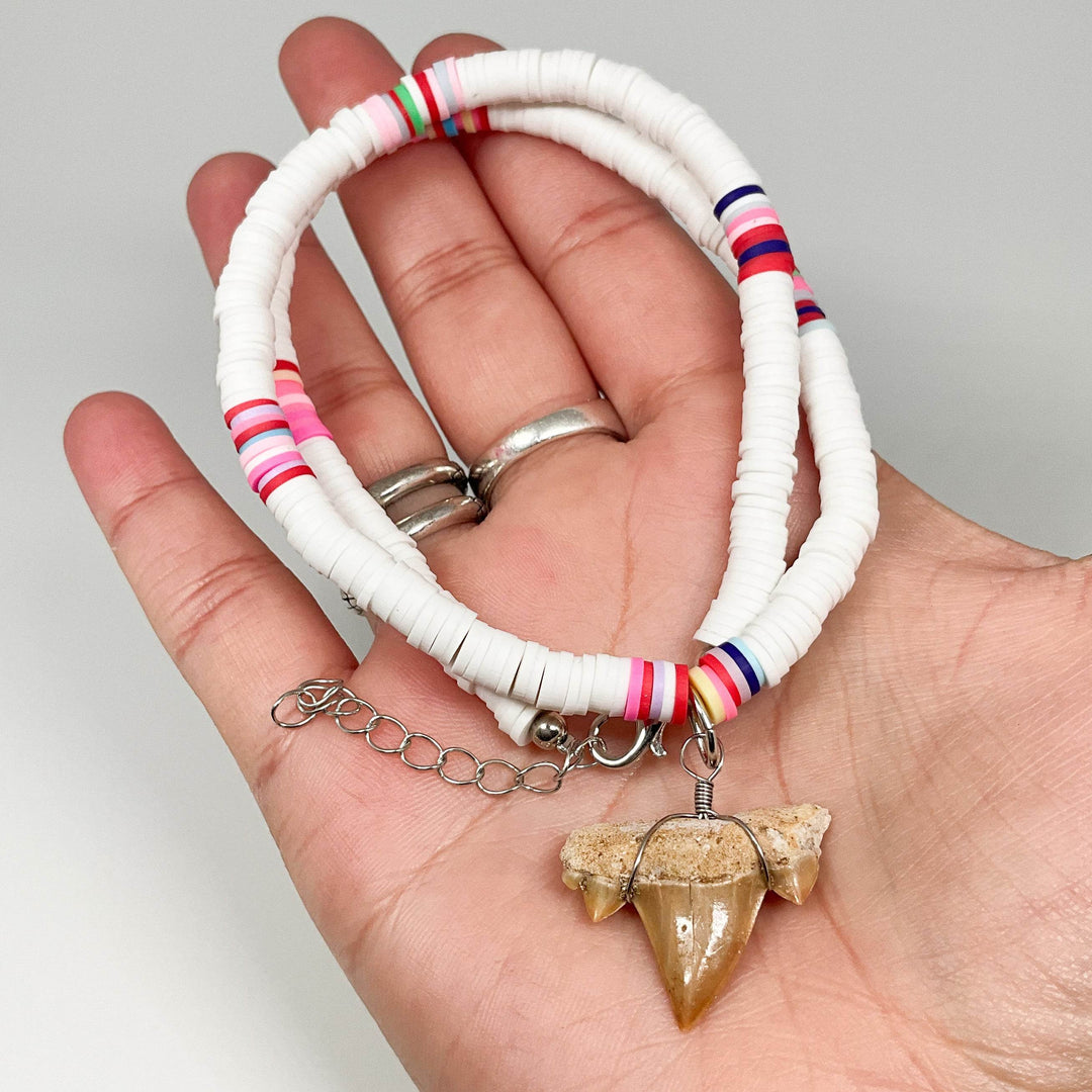 Fossilized Shark Tooth Necklace-Rocks and Gems Canada