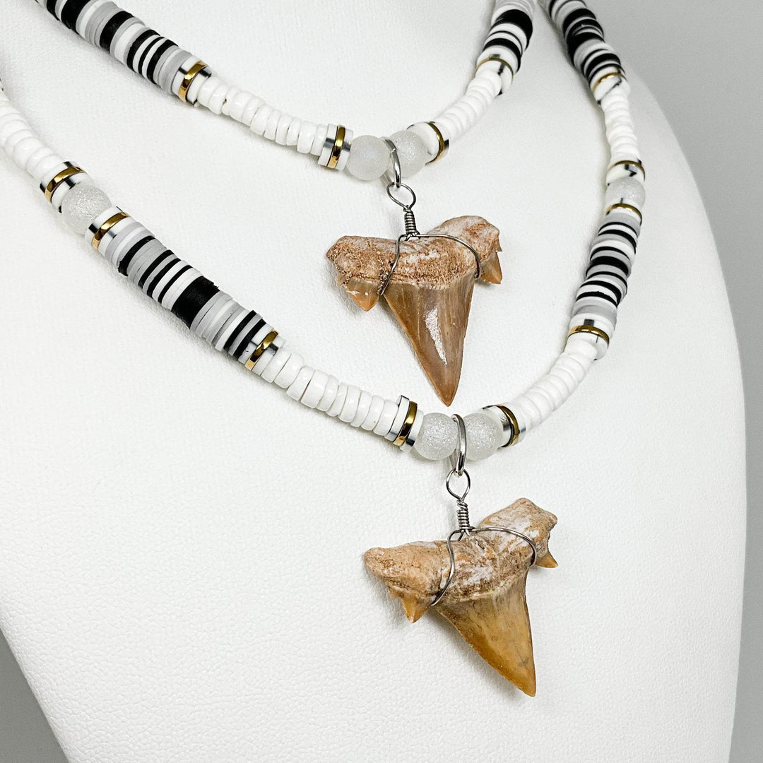 Fossilized Shark Tooth Necklace-Rocks and Gems Canada