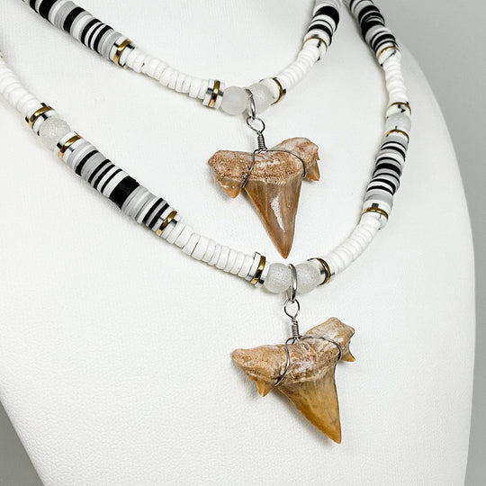 Fossilized Shark Tooth Necklace-Rocks and Gems Canada